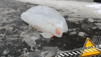 Zakon.kz, фото - Новости Zakon.kz от 25.11.2019 17:45