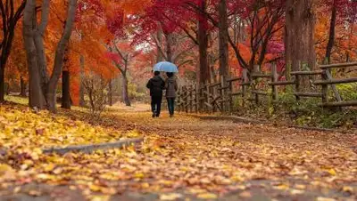 pixabay, фото - Новости Zakon.kz от 22.09.2021 06:17