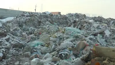 almaty.tv, фото - Новости Zakon.kz от 27.07.2020 15:29