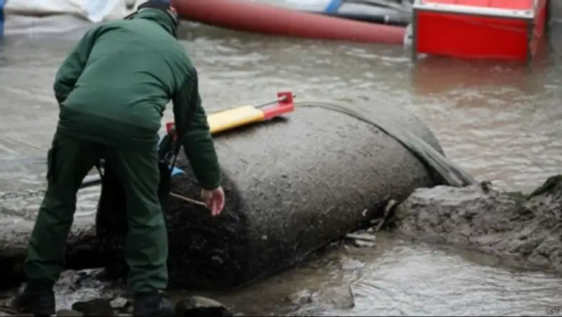Тысячи жителей Кёльна эвакуированы перед взрывом бомбы