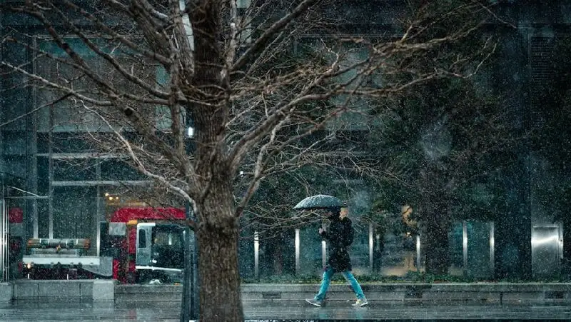 Заморозки до 3 градусов ожидаются в двух областях Казахстана