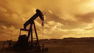 Pixabay, фото - Новости Zakon.kz от 06.03.2020 12:15