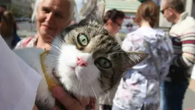 Zakon.kz, фото - Новости Zakon.kz от 14.09.2015 12:13