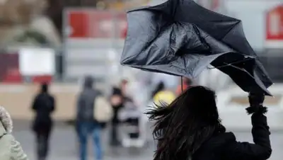 inform.kz, фото - Новости Zakon.kz от 29.07.2020 17:20