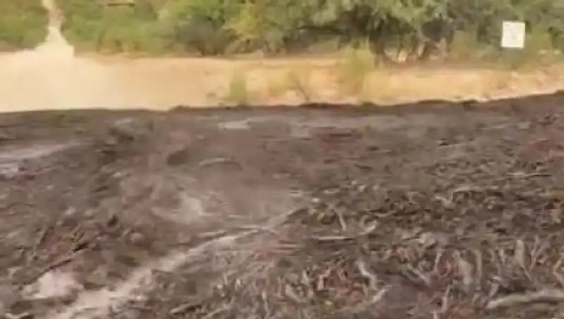 Появилось видео черного селевого потока в США