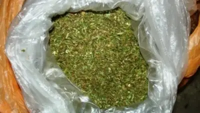 Zakon.kz, фото - Новости Zakon.kz от 29.07.2017 17:24