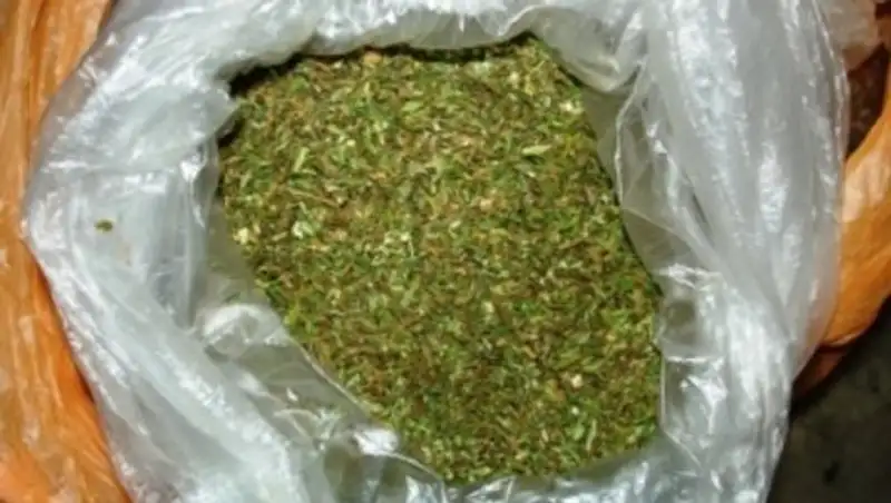 Близ Капчагая задержали наркосборщика