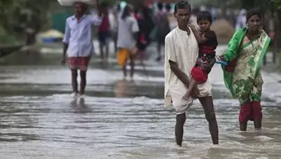 Zakon.kz, фото - Новости Zakon.kz от 15.08.2017 15:48