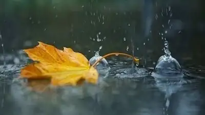 udm-info.ru, фото - Новости Zakon.kz от 20.09.2018 09:32