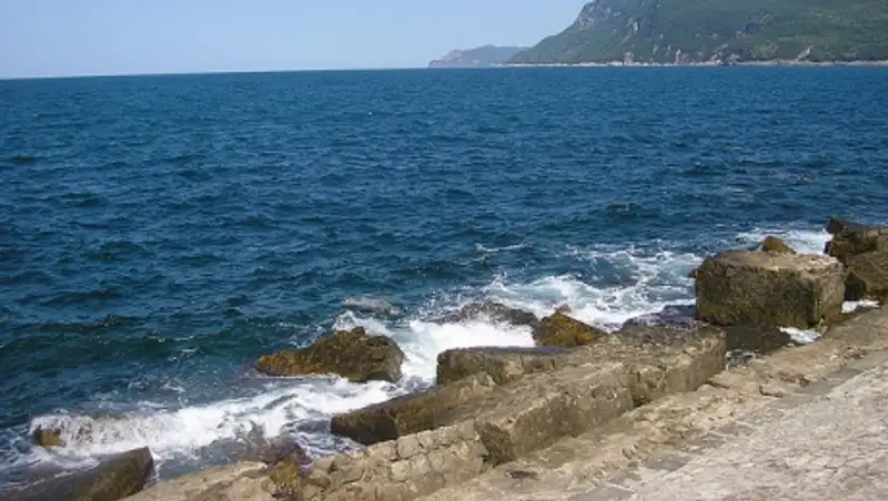 СМИ: тело четырехлетней сирийской девочки обнаружено на западном побережье Турции