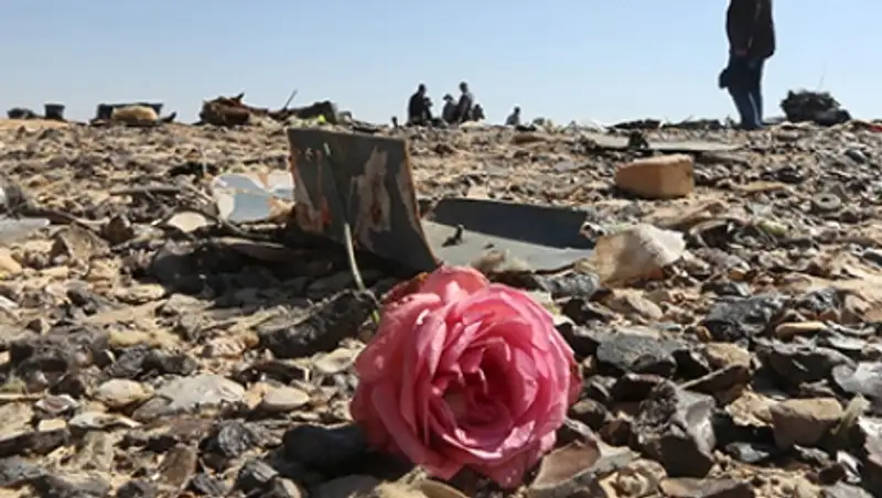 Спасатели нашли новые тела погибших пассажиров A321