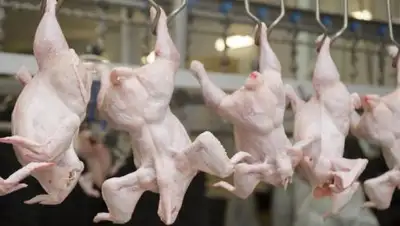 Открытые источники, фото - Новости Zakon.kz от 08.12.2018 00:58