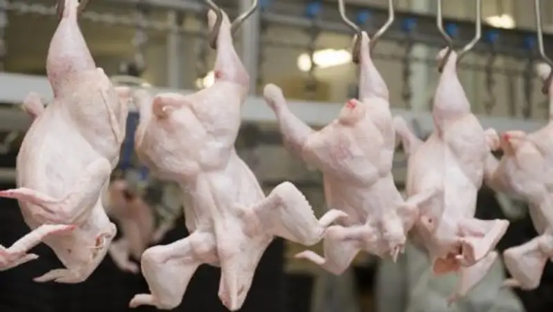 Россельхознадзор может отменить запрет на транзит в Казахстан мяса из США