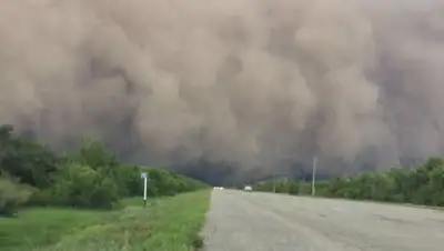 Zakon.kz, фото - Новости Zakon.kz от 20.07.2017 20:18