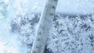 Rustelegraph, фото - Новости Zakon.kz от 26.01.2018 21:03