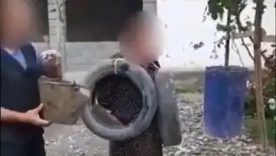 кадр из видео, фото - Новости Zakon.kz от 14.06.2020 09:45