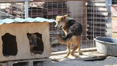 zakon.kz / Павел Михеев, фото - Новости Zakon.kz от 13.10.2021 22:36