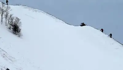 Zakon.kz, фото - Новости Zakon.kz от 27.03.2017 17:35