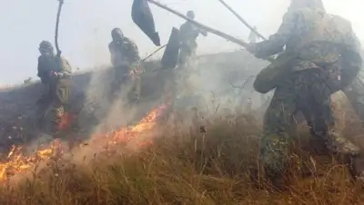 Zakon.kz, фото - Новости Zakon.kz от 24.08.2017 18:17