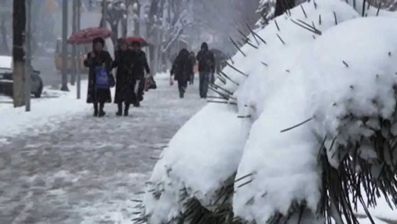 18 женщин старше 100 лет живут в Шымкенте