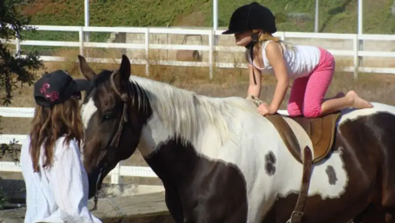 Какой вид досуга набирает популярность в Казахстане