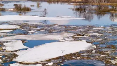 Вестник, фото - Новости Zakon.kz от 09.04.2018 12:11