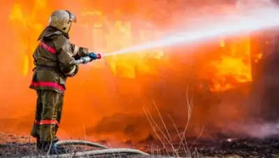 из открытых источников, фото - Новости Zakon.kz от 12.09.2018 20:44