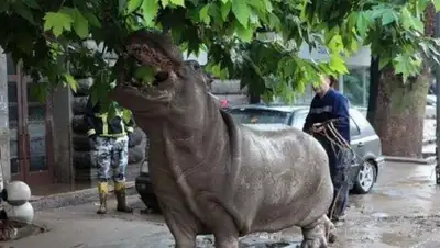 Zakon.kz, фото - Новости Zakon.kz от 16.06.2015 05:54