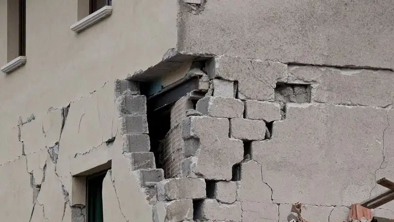 В турецком городе спасатели приостановили снос здания из-за кошки