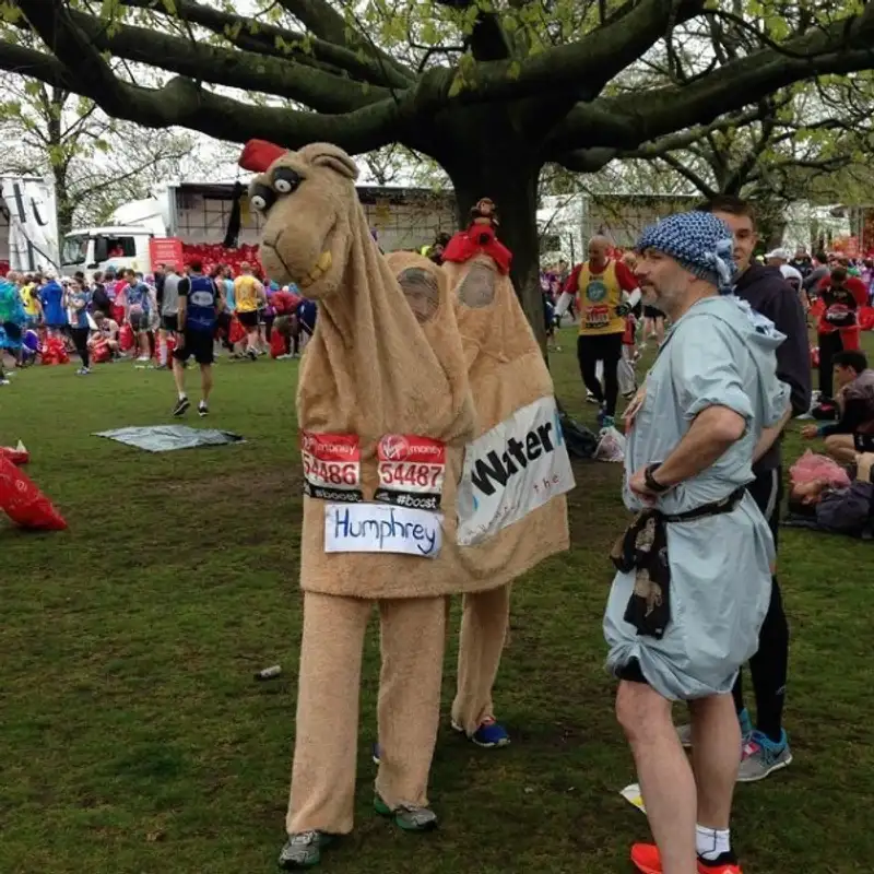 Верблюд Гемфри, фото - Новости Zakon.kz от 27.04.2015 14:30