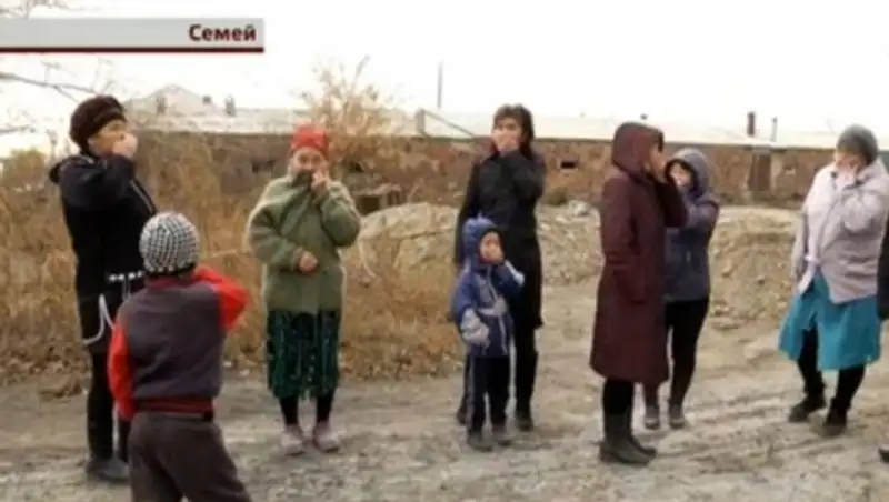 Свиноферма отравляет жизнь семейчанам