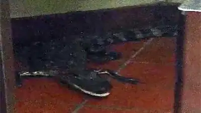 Zakon.kz, фото - Новости Zakon.kz от 10.02.2016 00:00