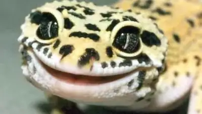 Zakon.kz, фото - Новости Zakon.kz от 20.08.2017 19:36