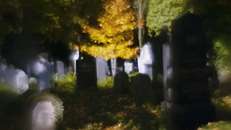 AP: в США вандалы повредили более 100 надгробий на еврейском кладбище