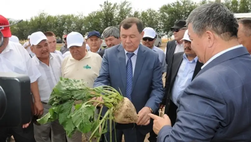 Аким Жамбылской области Карим Кокрекбаев сел за руль комбайна 