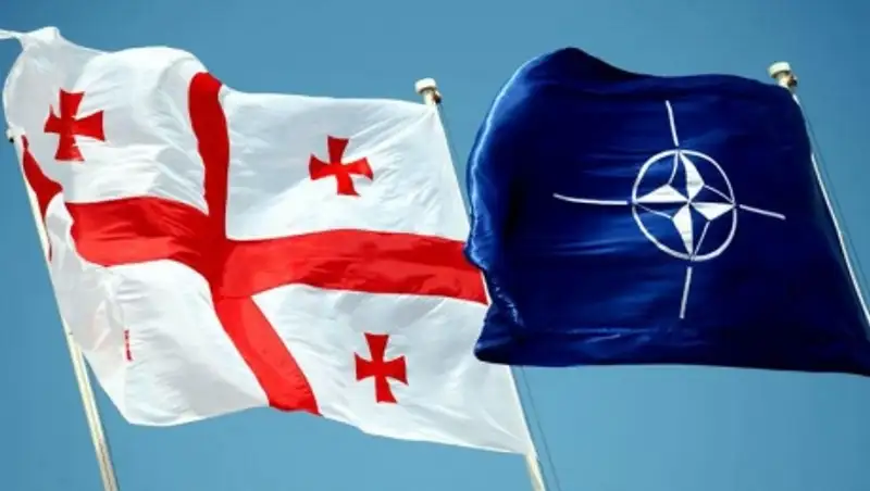 НАТО намерена укреплять сотрудничество с Грузией