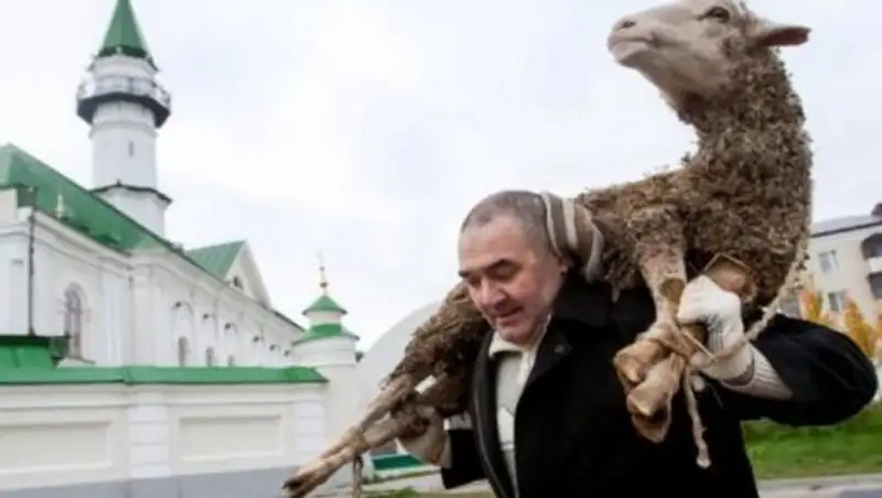 Какой день Курбан-байрама наилучший для жертвоприношения