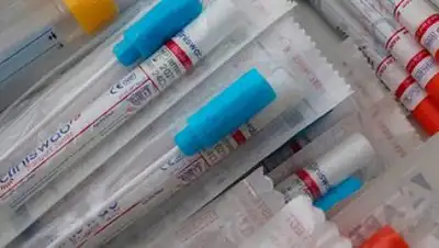 pixabay.com, фото - Новости Zakon.kz от 18.02.2021 23:42