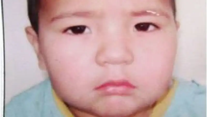 В Кызылординской области продолжаются поиски пропавшего трехлетнего мальчика