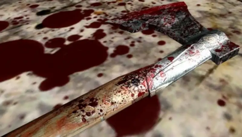 В Алматинской области водворен под стражу мужчина, зарубивший топором знакомого