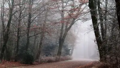 pxhere.com, фото - Новости Zakon.kz от 08.11.2019 12:36