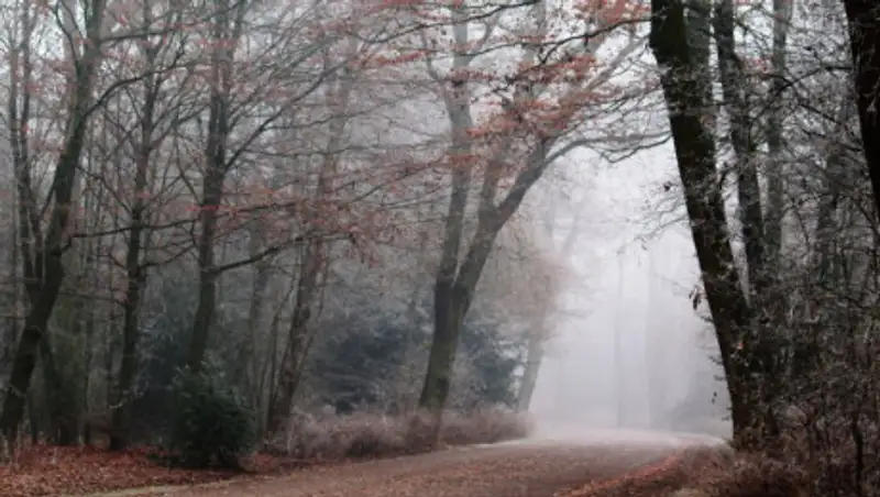 Холодные выходные ждут казахстанцев