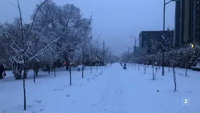 алматы, снег, выпадение, уборка, фото - Новости Zakon.kz от 07.02.2022 09:33