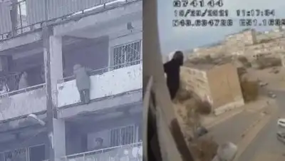 скрин видео, фото - Новости Zakon.kz от 29.10.2021 18:08