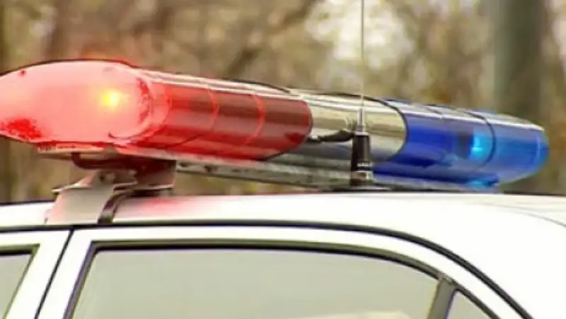 За один день акмолинские полицейские взыскали в бюджет области более 6 млн тенге