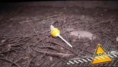 Zakon.kz, фото - Новости Zakon.kz от 23.02.2017 23:15