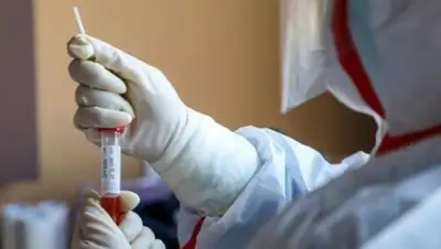 Гордон, фото - Новости Zakon.kz от 18.05.2020 15:22