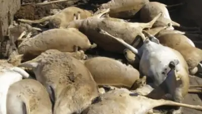 Zakon.kz, фото - Новости Zakon.kz от 25.05.2015 14:16