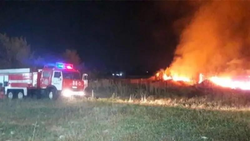 В Алматы загорелся сухостой выше пр. аль-Фараби