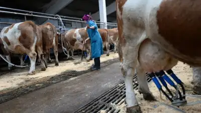 Zakon.kz, фото - Новости Zakon.kz от 15.05.2015 15:32